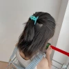 New Korean matte and frosted children's hair claws, a fresh and candy-colored shark claw for the back of a girl's head details Picture